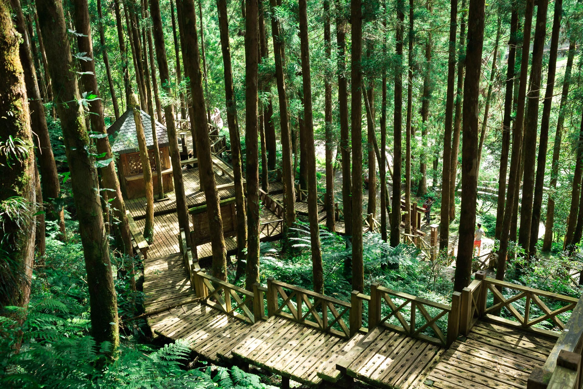 力麗明池山莊2025優惠住房專案